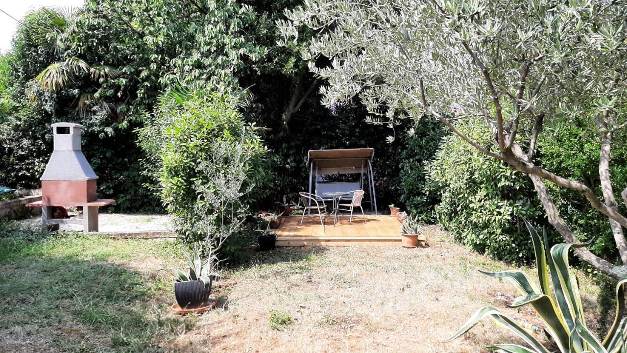 Studio Orhidea Blu Rovinj Eksteriør bilde